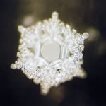 Dr. Masaru Emoto Official