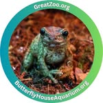 Butterfly House & Aquarium