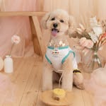 プリン🍮purin♂toypoodle