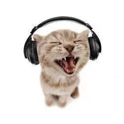 🎧