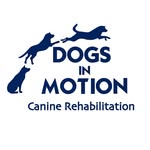 Dogs In Motion
