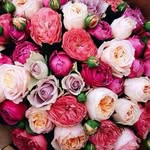 Beauty & Lifestyle Blog