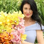 Debi Lilly