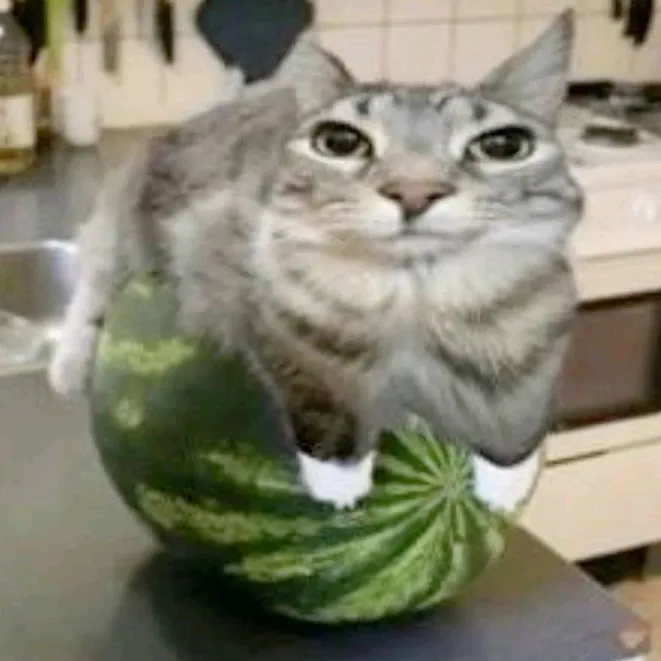 ︎