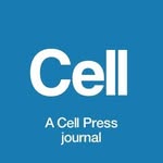 Cell