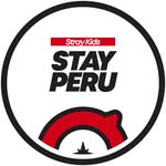 STAY PERU 🇵🇪 // Stray Kids