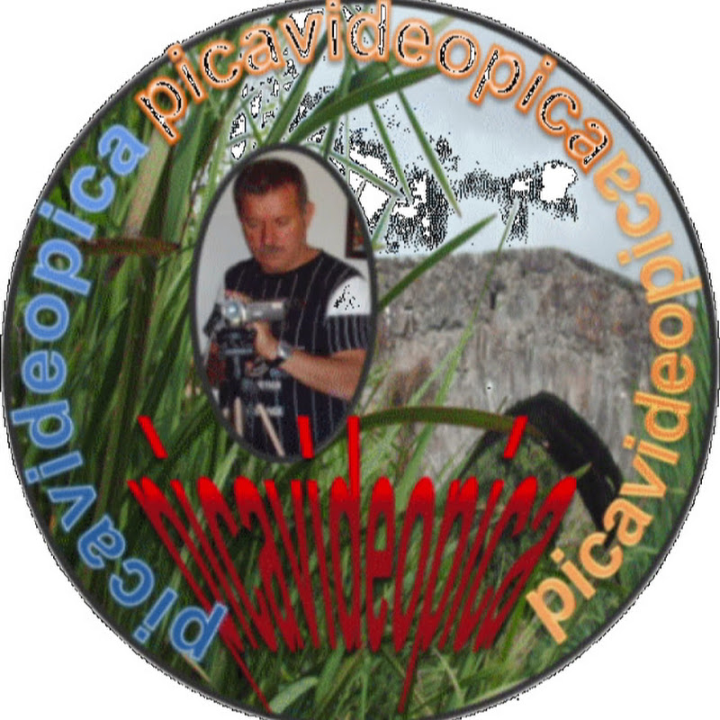 picavideopicatv   - Edição de Video Amador