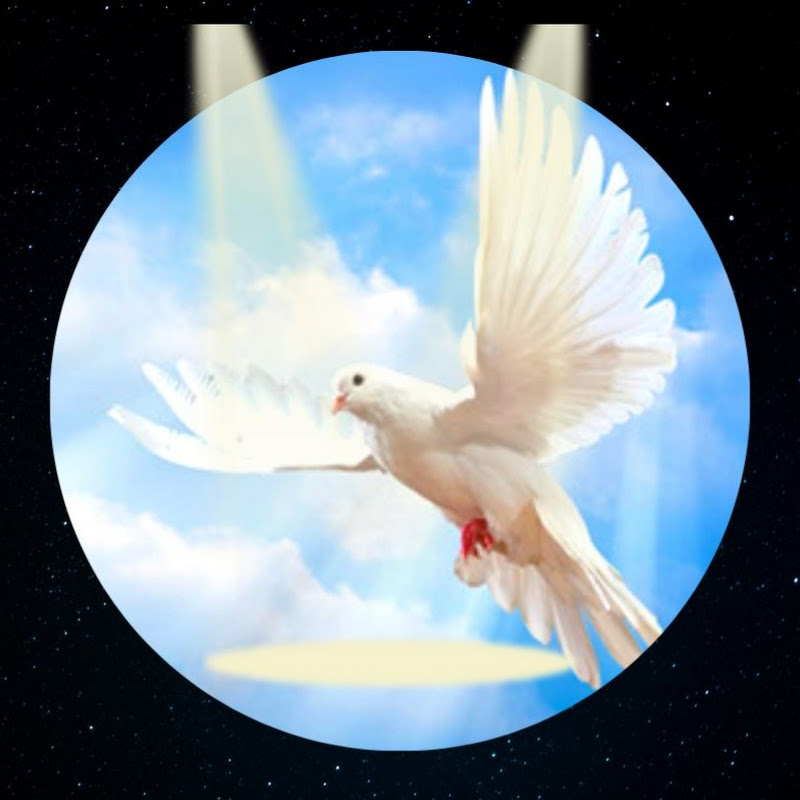 Daily Scriptures Hearing By Faith 一天听一章经文