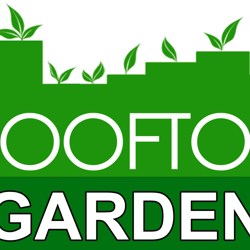Rooftop Gardening with Insha