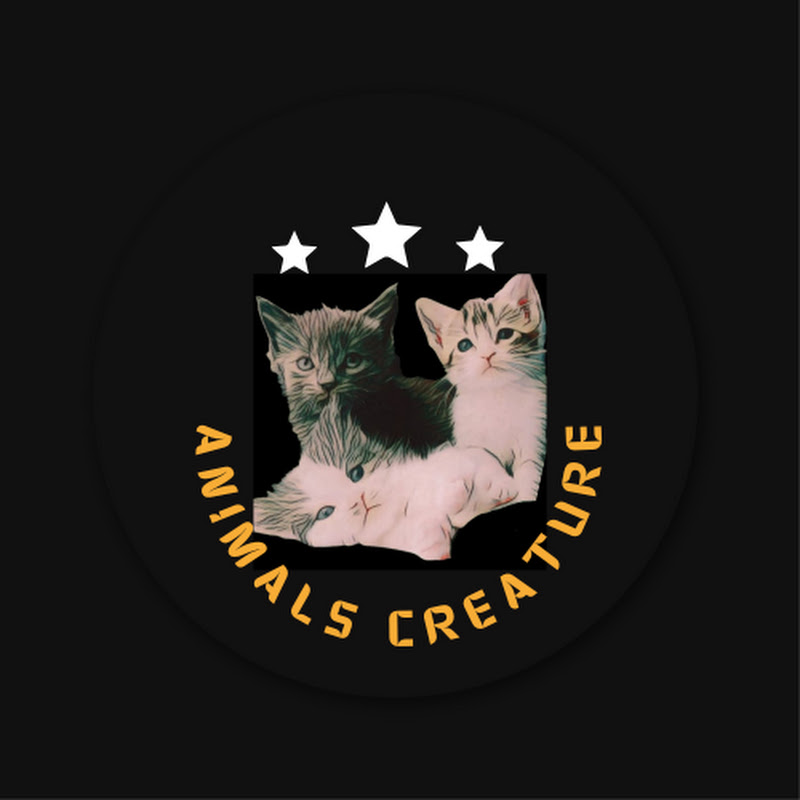 Animals Creature