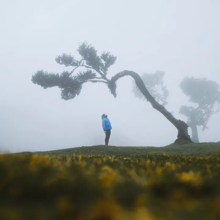 Ciprian | Photographer | FPV