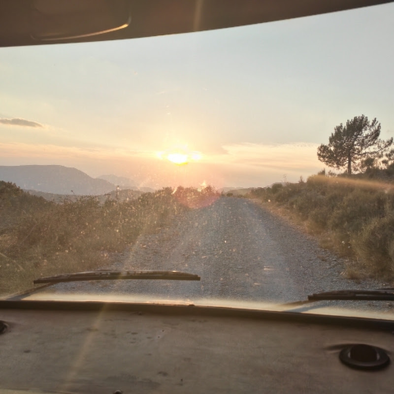 VanLifeWalks