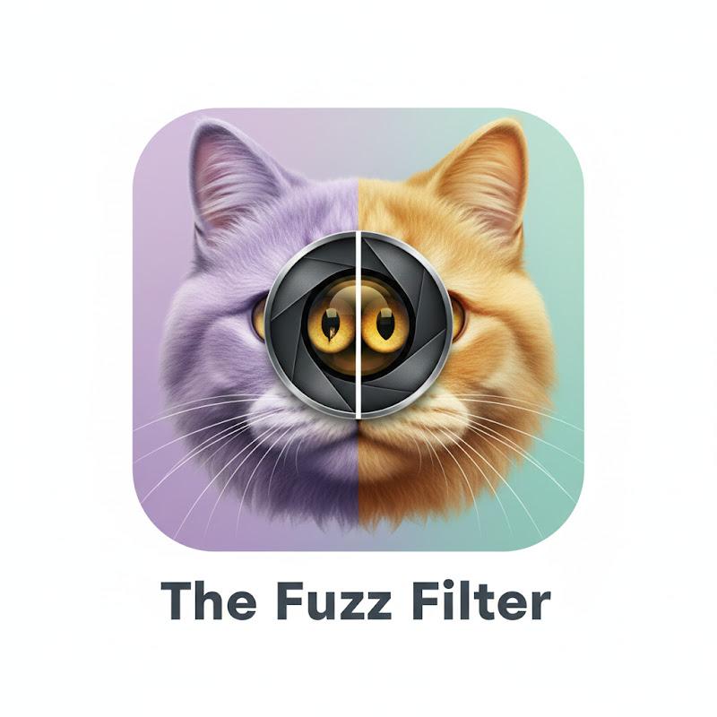 The Fuzz Filter