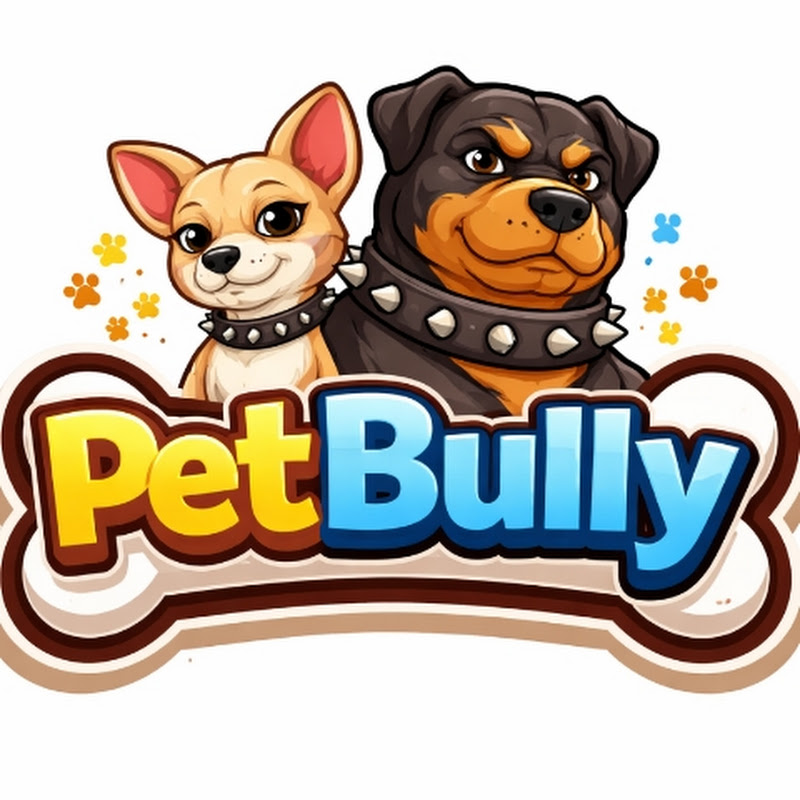 PET TV