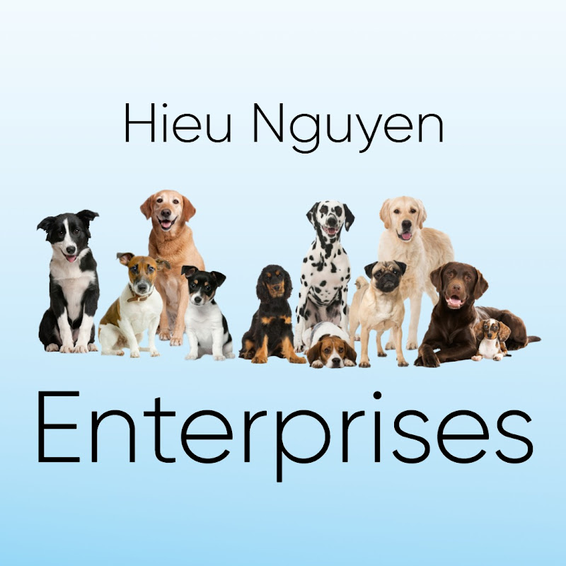 Hieu Nguyen Enterprises 2026