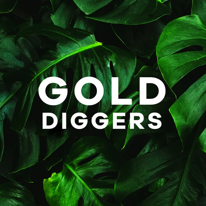 GOLD DIGGERS MX 🔥🎩