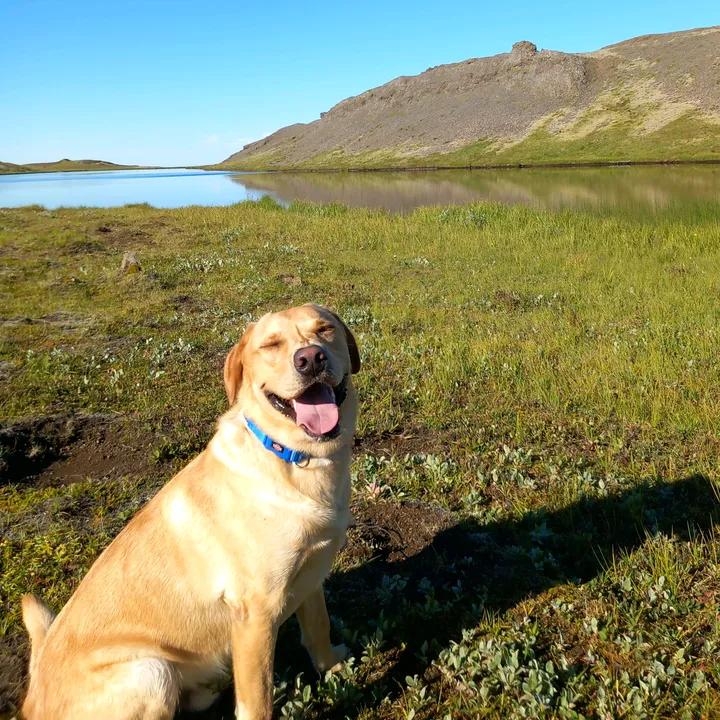 Bósmundur 🇮🇸