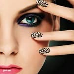 aima.m2
