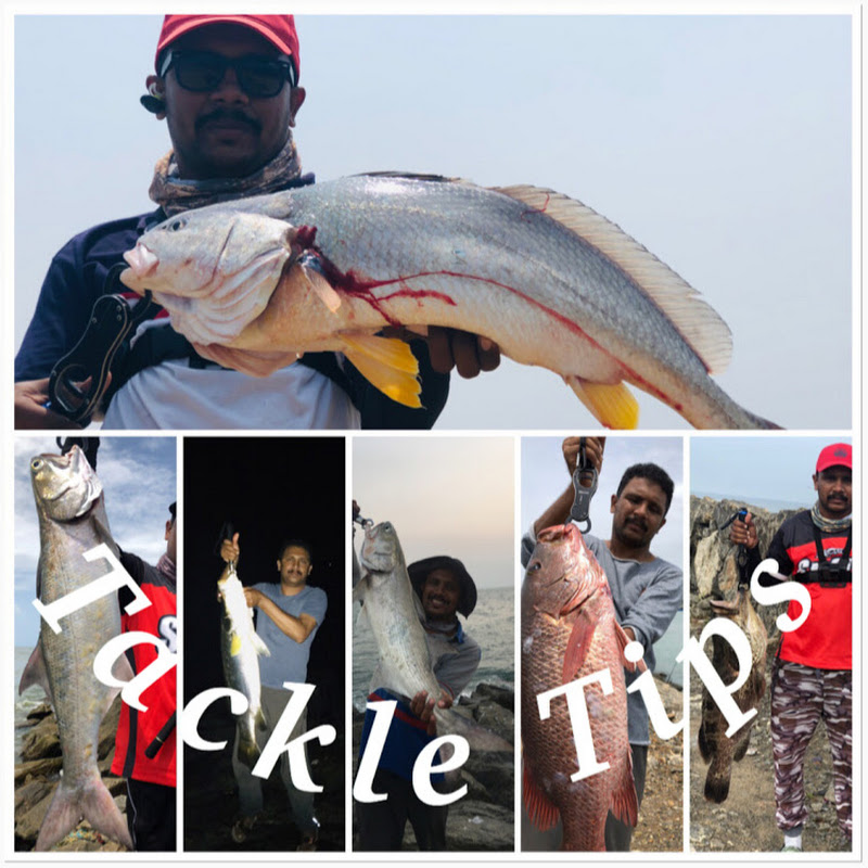 Tackle Tips