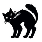 BLACK CAT BREWERY