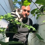 Paul The Cat Guy