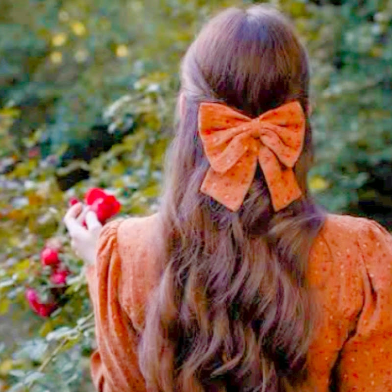 Daily diaries Australia 