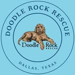 Doodle Rock Rescue®