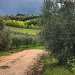 La Segreta