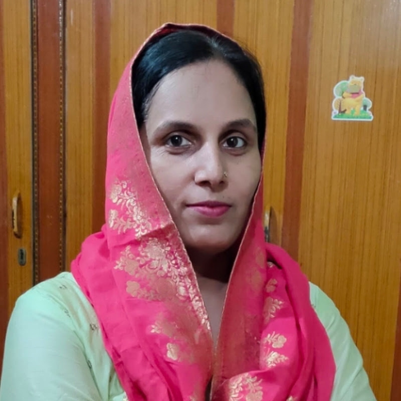Seema Family vlog