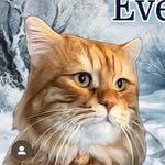 Nacho 🐱🐾 Siberian kittycat 🐯