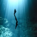 Freedivers🧜🏽‍♀️