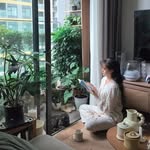 Cece Vu Đâys