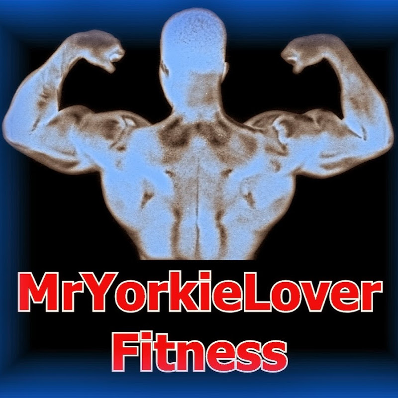 MrYorkieLover Fitness Entertainment