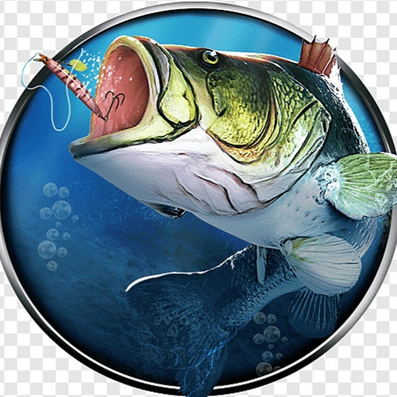Fisherman Area