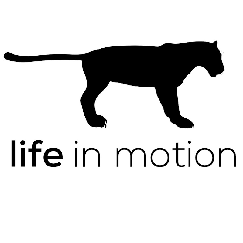 life.in.motion