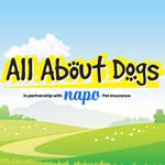 All About Dogs Show