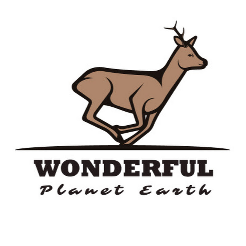 Wonderful Planet Earth - Historical Collection