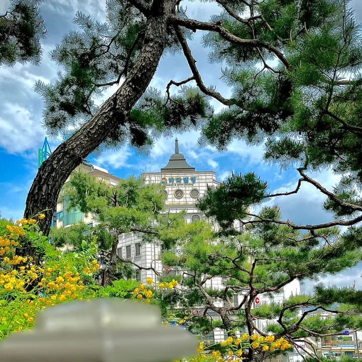 Amrit Tiwari 🇰🇷