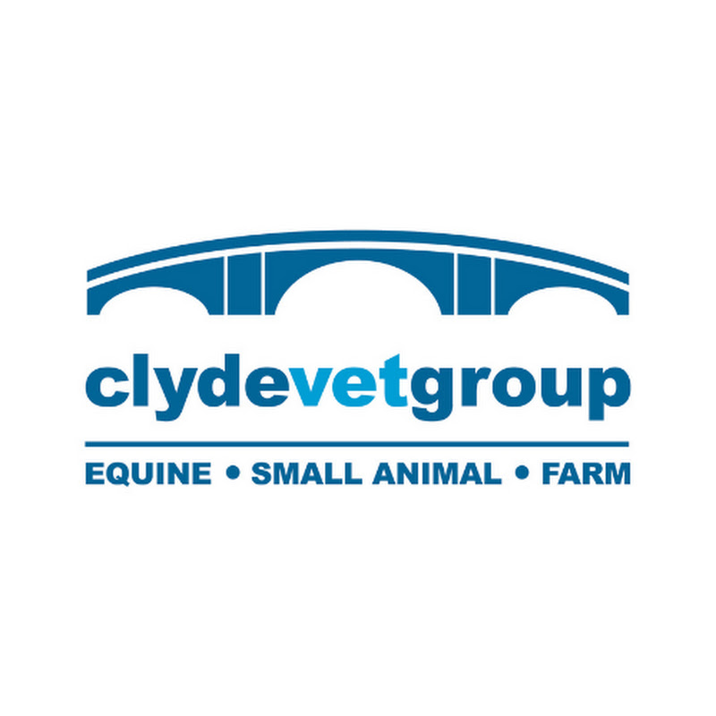 Clyde Vet Group