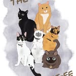 The Nest Cat-fé