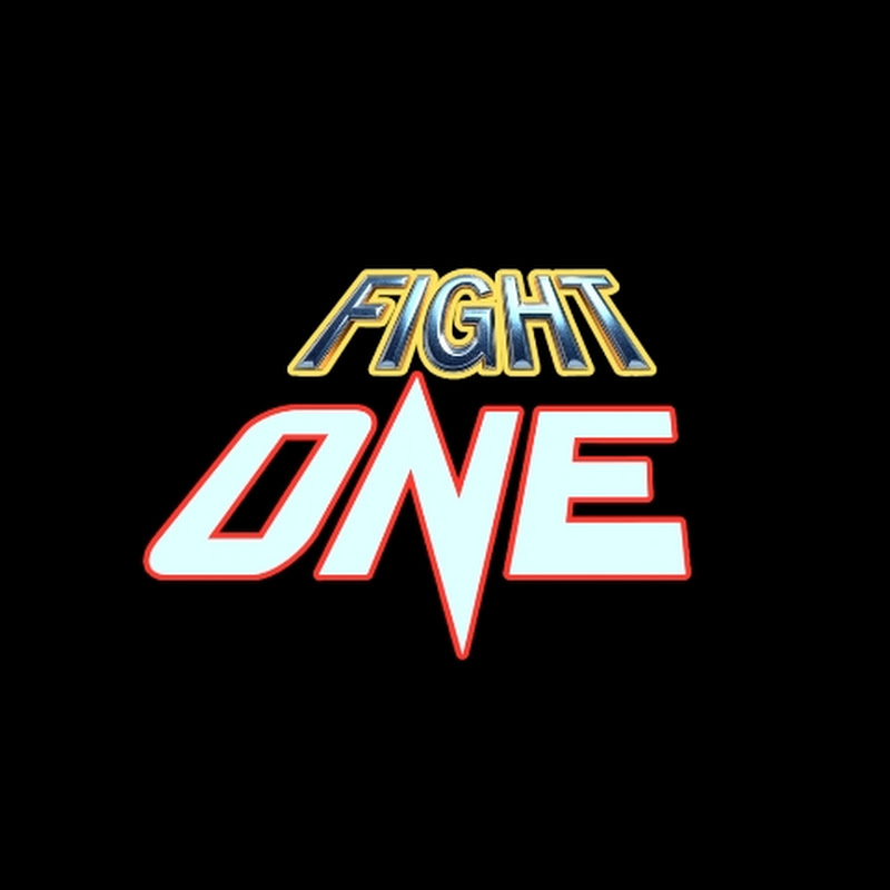 ONE FIGHT ONE