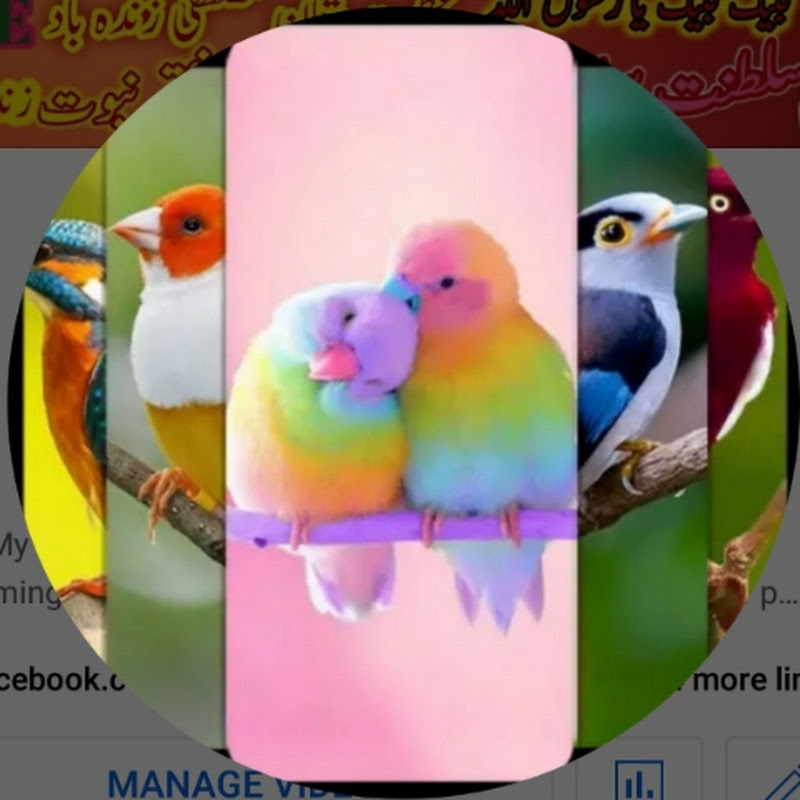 The Latest Gaming Tech