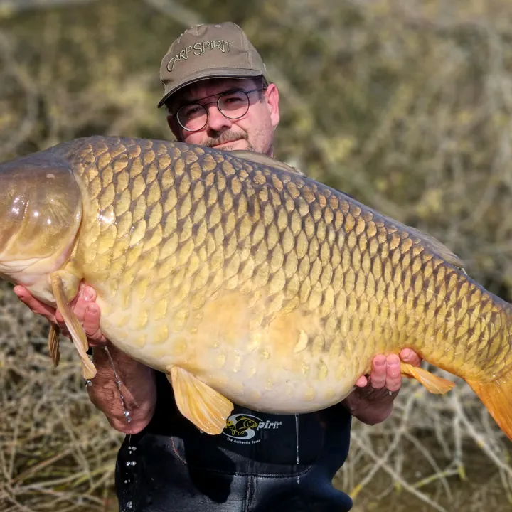 Philippe GALA Carpspirit