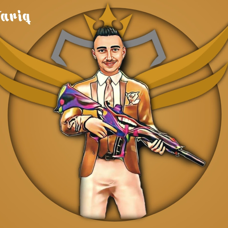 AMIR GAMING