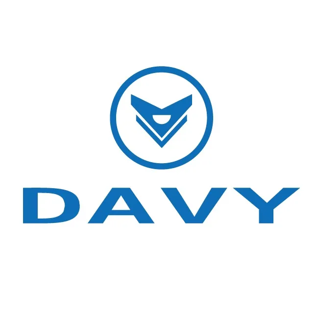 Davy electric tricycle