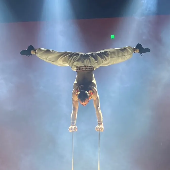 handstanddima