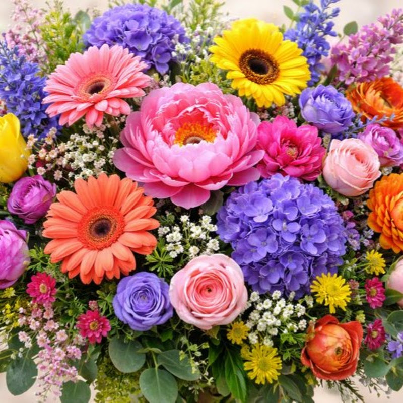 Sooothing Soundscapes