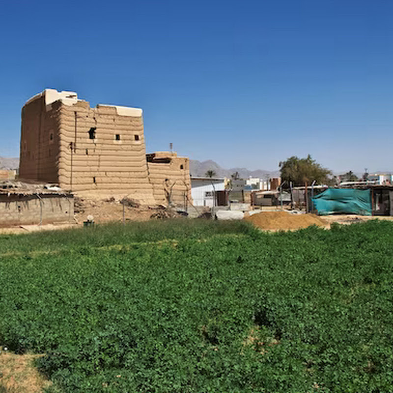 village Life Saudi Arabia