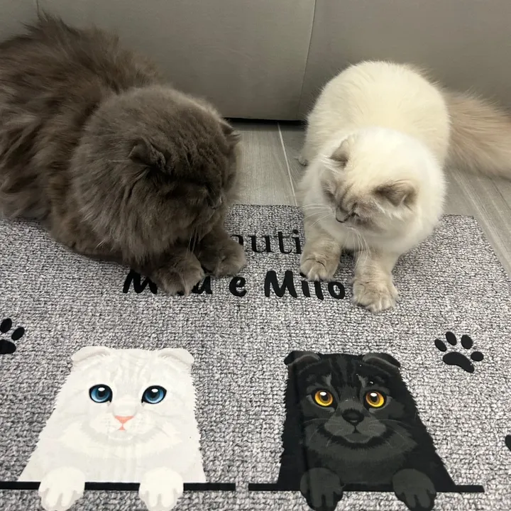 Milo e Milù😺