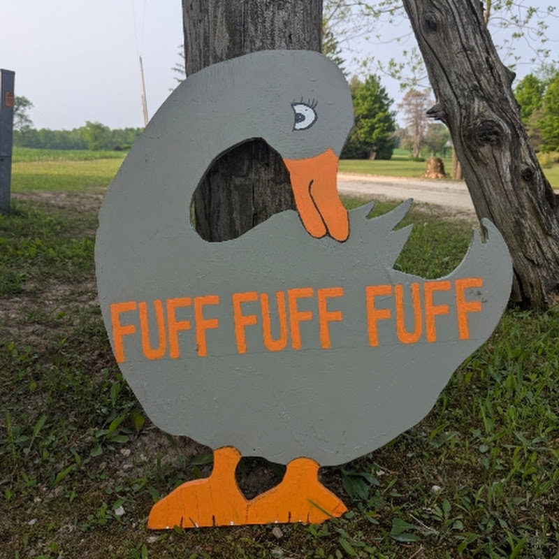Fuff Fuff Fuff